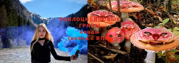 Альфа ПВП Покачи